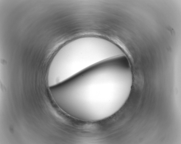 X0000091350063200708101044