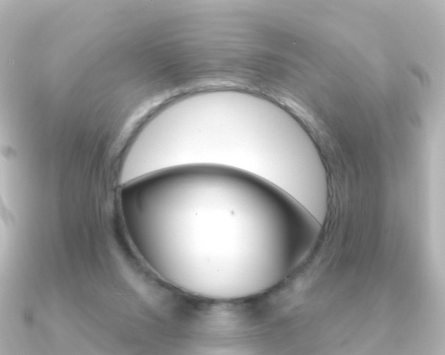 X0000091350064200708101044