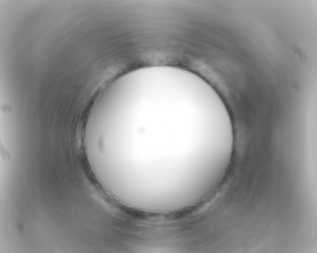 X0000091350065200708101044