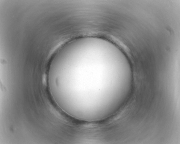 X0000091350067200708101044
