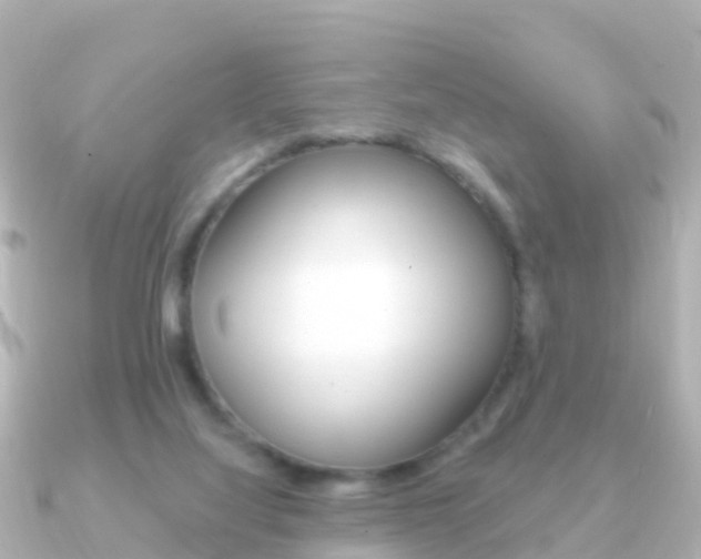 X0000091350068200708101044
