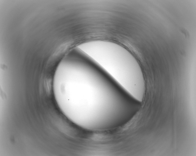 X0000091350070200708101044