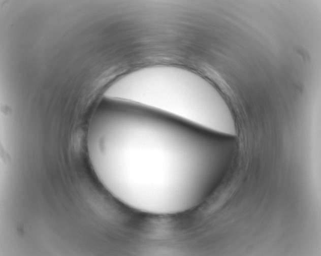 X0000091350071200708101044
