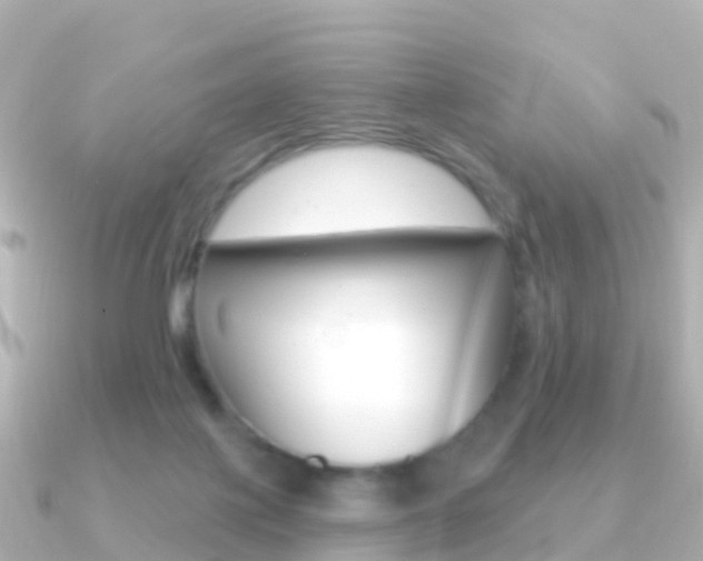 X0000091350075200708101044