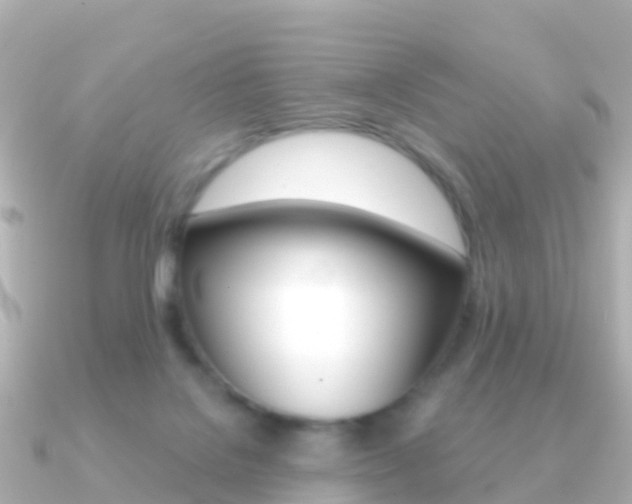X0000091350076200708101044