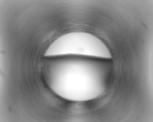 X0000091350078200708101044
