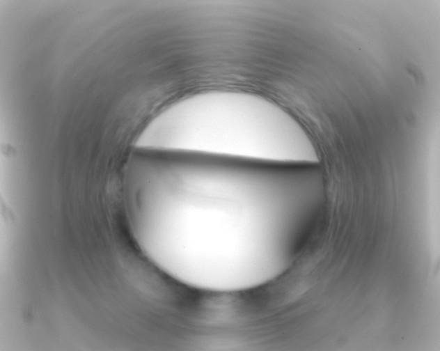 X0000091350079200708101044