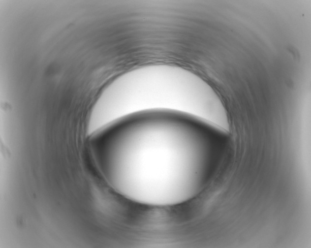 X0000091350080200708101044