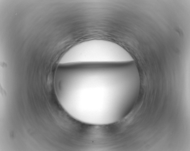X0000091350082200708101044