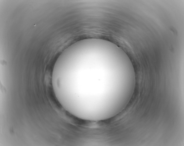 X0000091350083200708101044