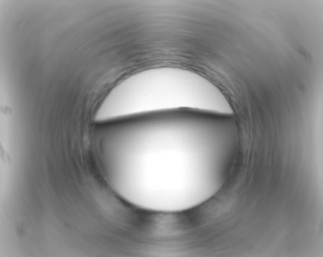 X0000091350085200708101044