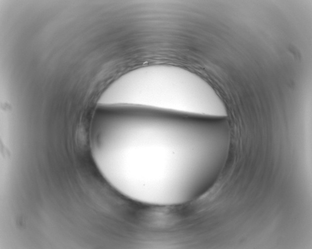 X0000091350086200708101044