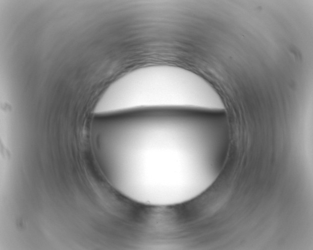 X0000091350087200708101044