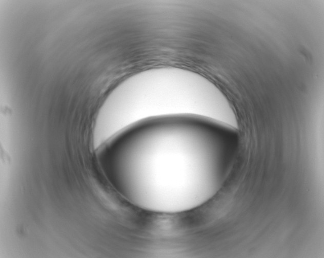 X0000091350088200708101044