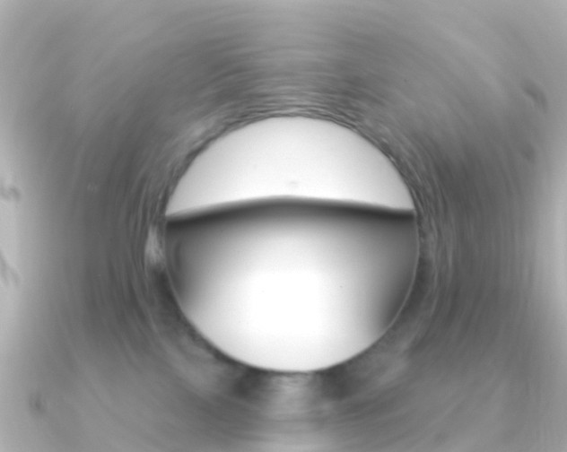 X0000091350089200708101044