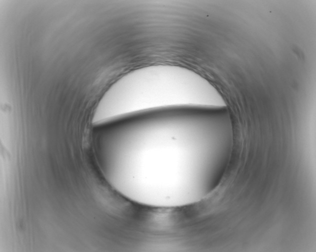 X0000091350090200708101044
