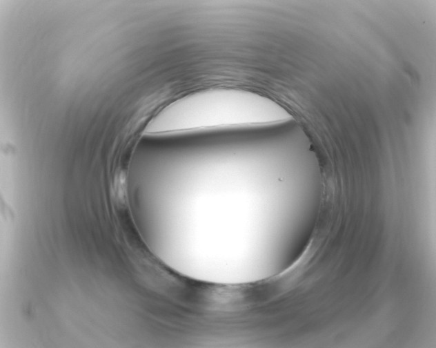 X0000091350094200708101044