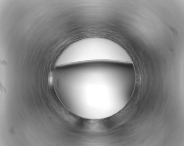 X0000091350095200708101044