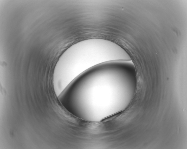 X0000091350096200708101045