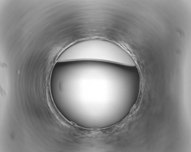 X0000091350097200708101044