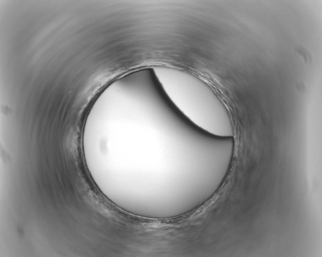 X0000091350098200708101044