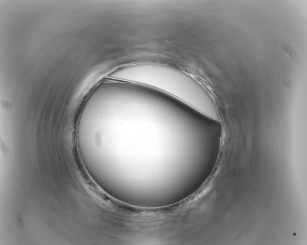 X0000091350101200708101044