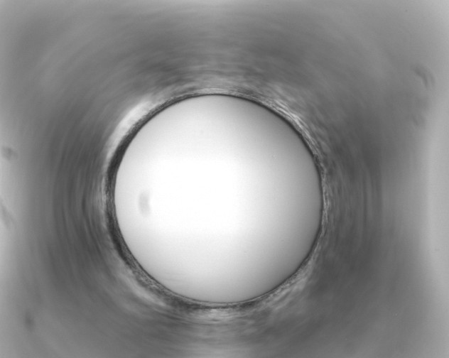 X0000091350102200708101044