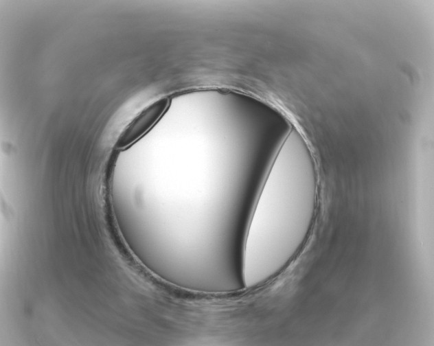 X0000091350103200708101044