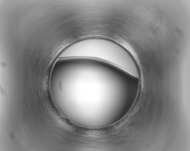 X0000091350105200708101044