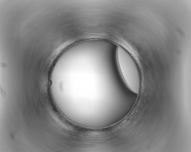 X0000091350107200708101044