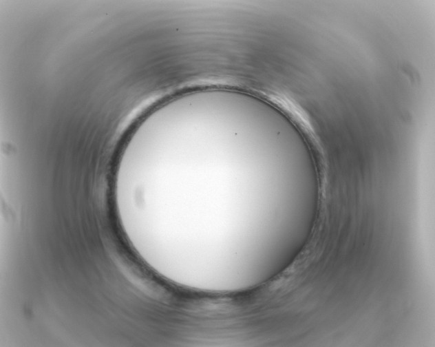 X0000091350108200708101044