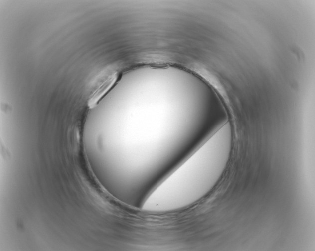 X0000091350109200708101044