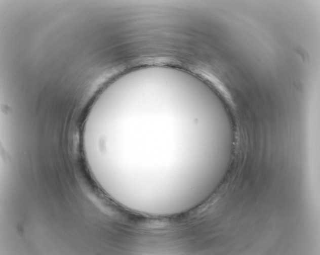X0000091350110200708101044