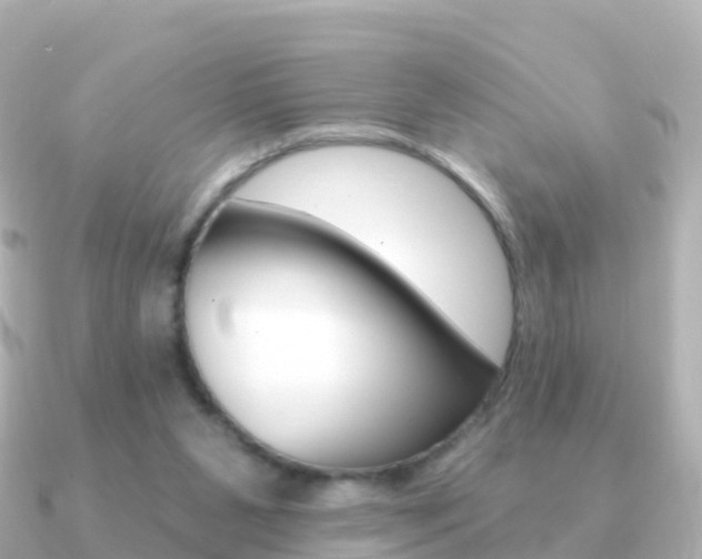 X0000091350111200708101044