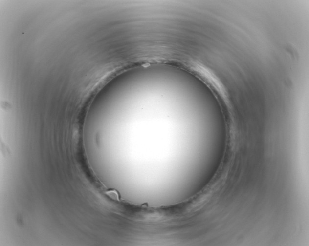 X0000091350113200708101044