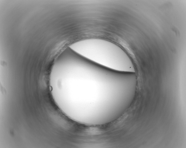 X0000091350114200708101044
