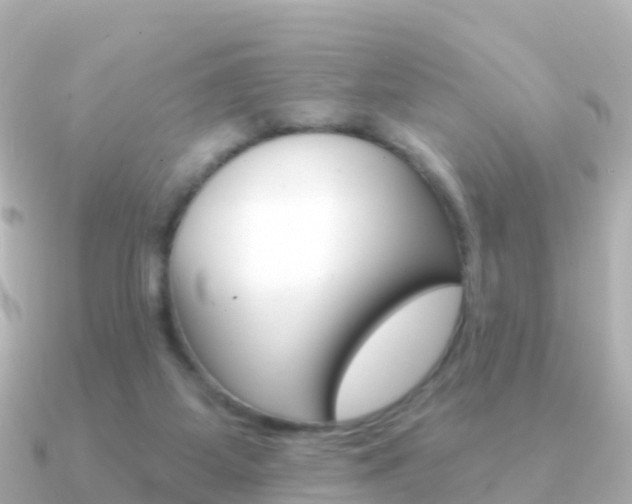 X0000091350115200708101044