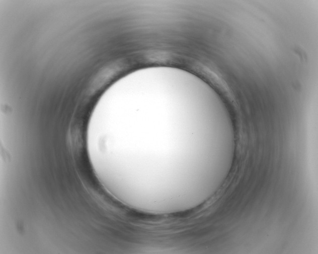 X0000091350116200708101044