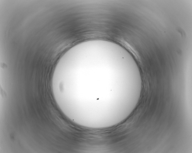 X0000091350117200708101044