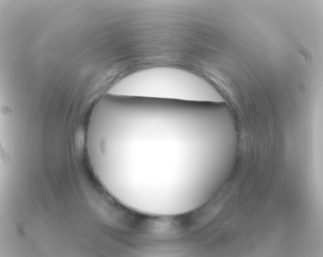 X0000091350118200708101044