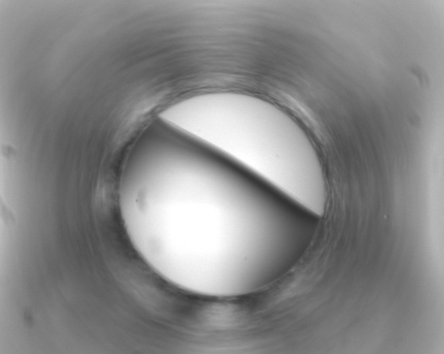 X0000091350119200708101044