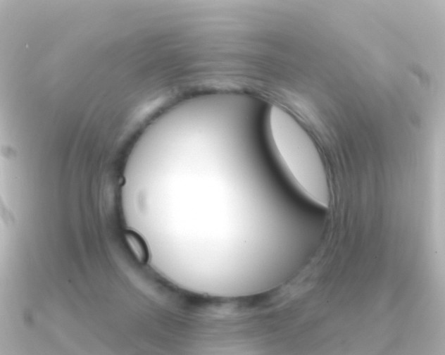 X0000091350120200708101044