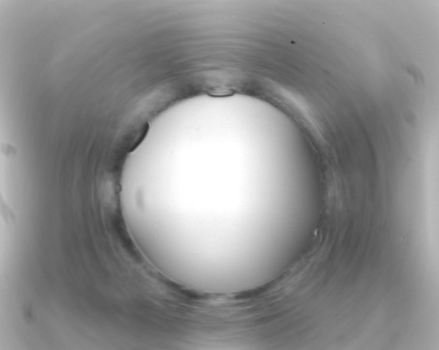X0000091350121200708101044