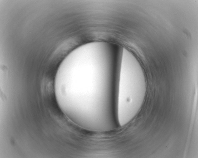 X0000091350123200708101044