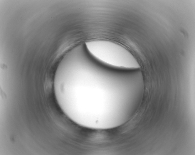 X0000091350124200708101044
