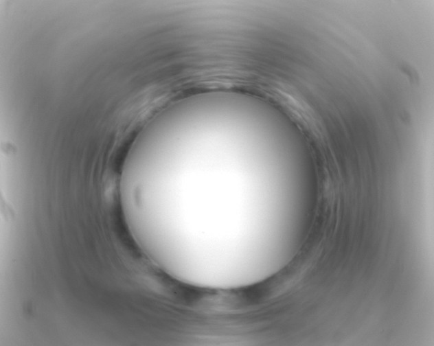 X0000091350125200708101044