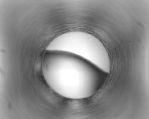 X0000091350129200708101044