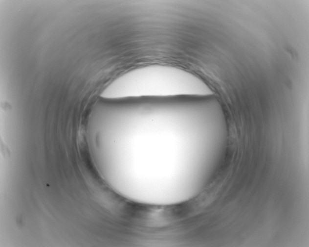X0000091350130200708101044