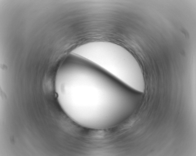X0000091350131200708101044