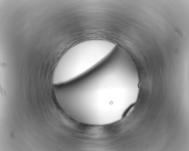 X0000091350132200708101044